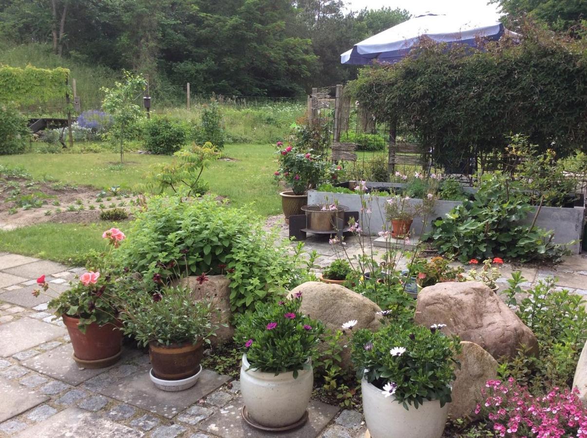 Bergliot Bed & Breakfast Hundested Exterior foto